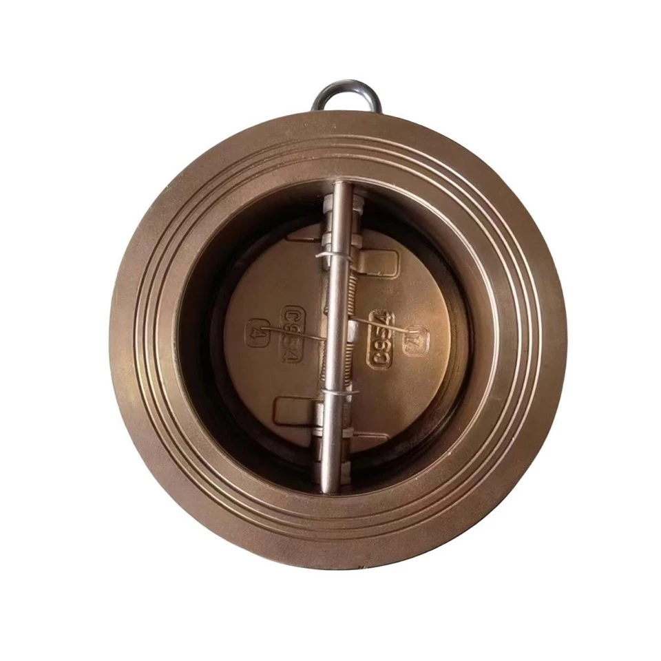 Dual Flap Check Valve