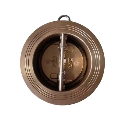 Dual Flap Check Valve