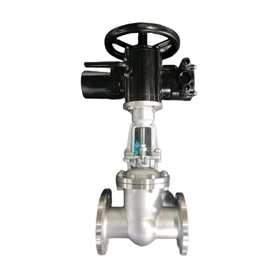Lub Check Valve siv rau dab tsi?