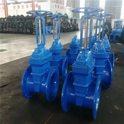 Wedge hom rooj vag Valve