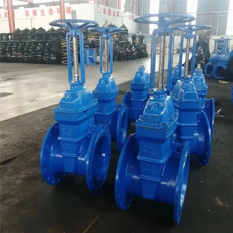 Wedge hom rooj vag Valve