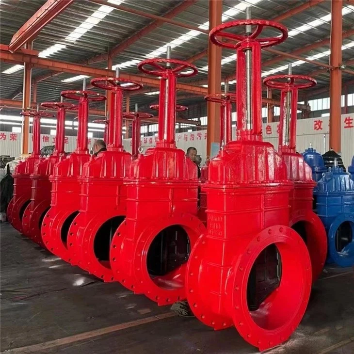 Wedge hom rooj vag Valve